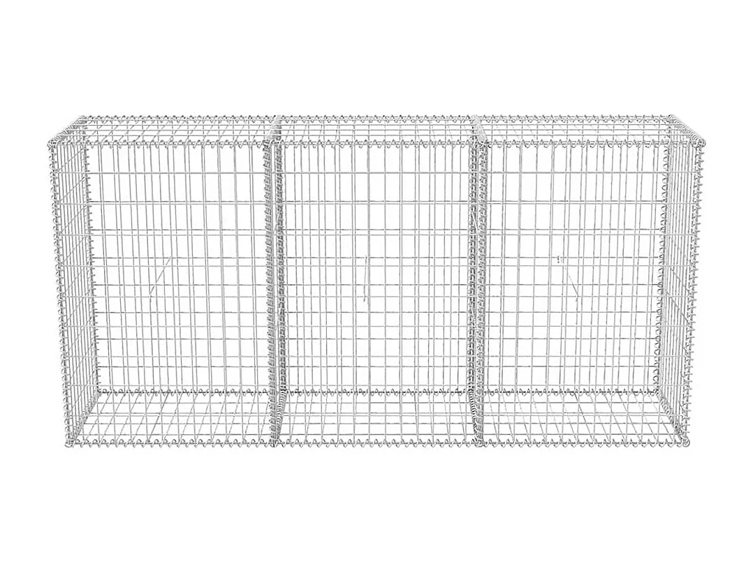 Panier de gabion-Mur en gabion Acier galvanisé 200x50x100 cm