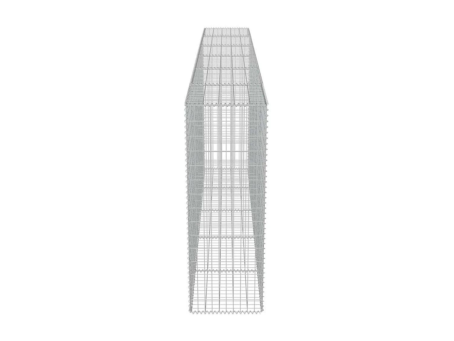 Mur en gabion-Panier de gabion avec couvercles Acier galvanisé 300x50x150 cm