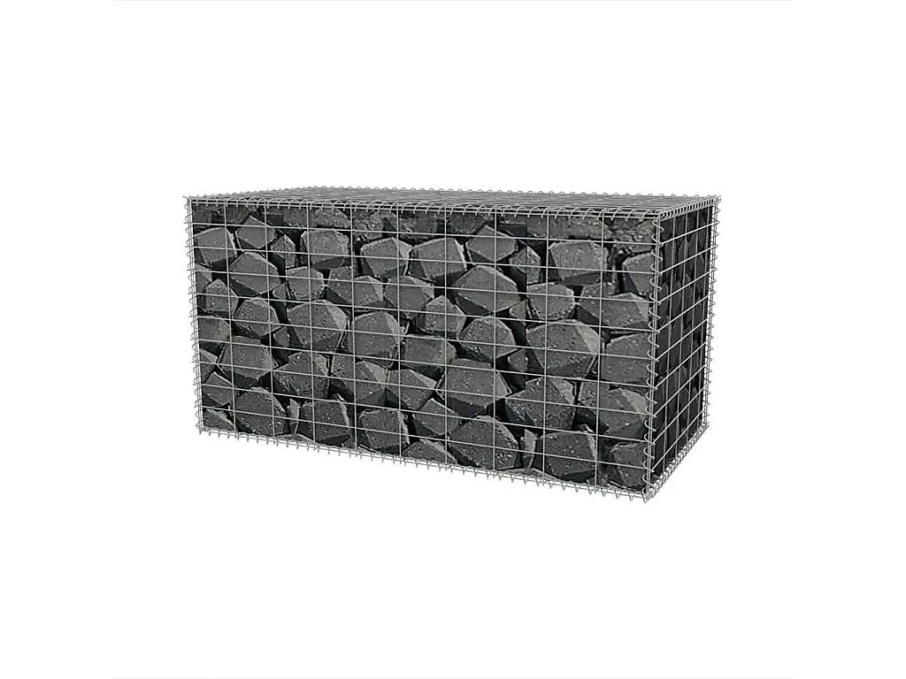 Mur en gabion-Panier de gabion Acier galvanisé 100x50x50 cm