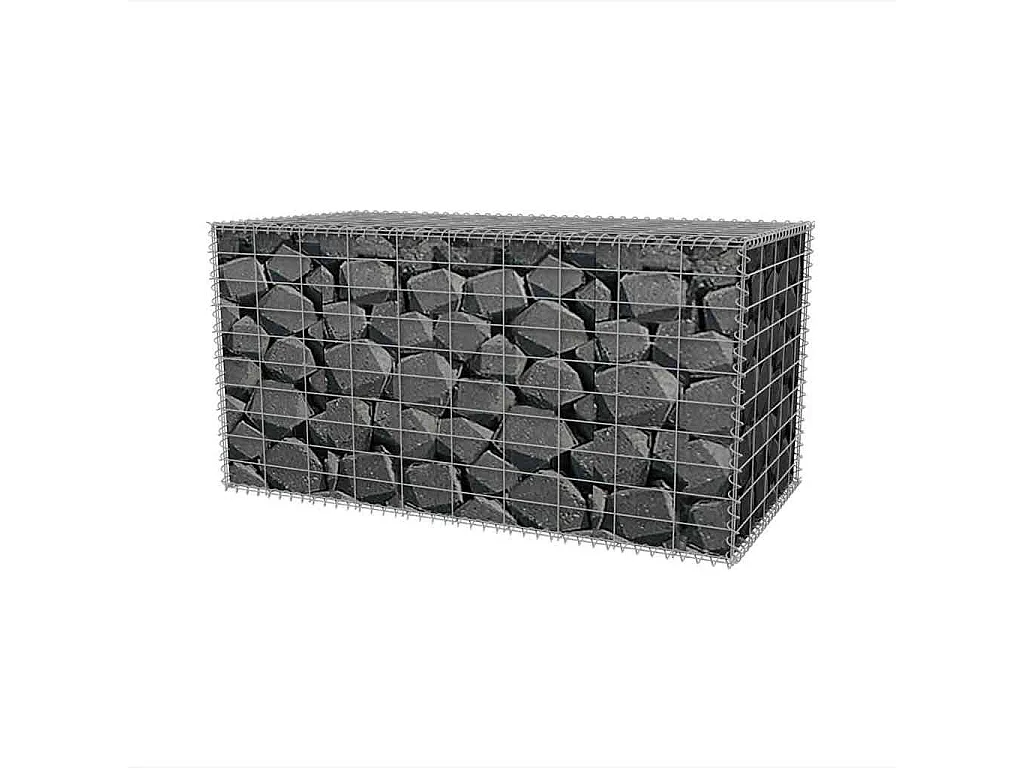Mur en gabion-Panier de gabion Acier galvanisé 100x50x50 cm