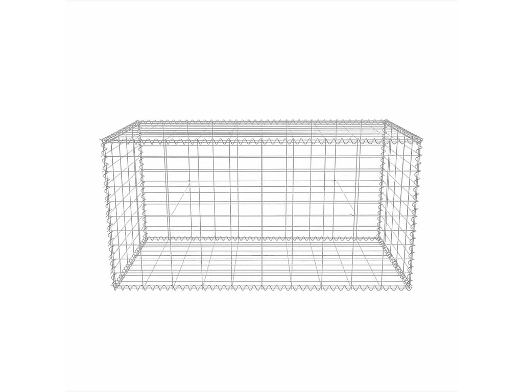 Mur en gabion-Panier de gabion Acier galvanisé 100x50x50 cm