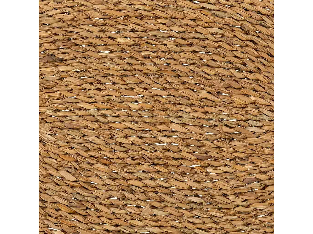 Paillasson de fibre marron 60 x 40 x 1,2 cm