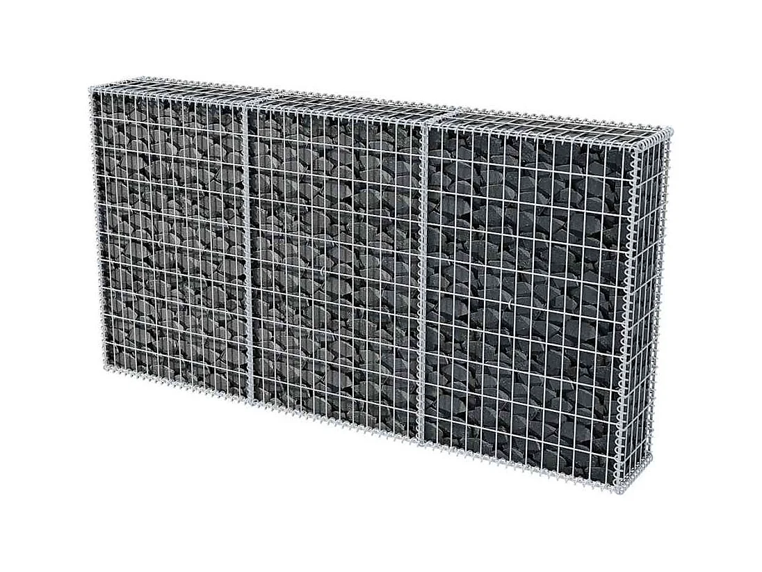 Panier de gabion-Mur en gabion Acier galvanisé 200x30x100 cm