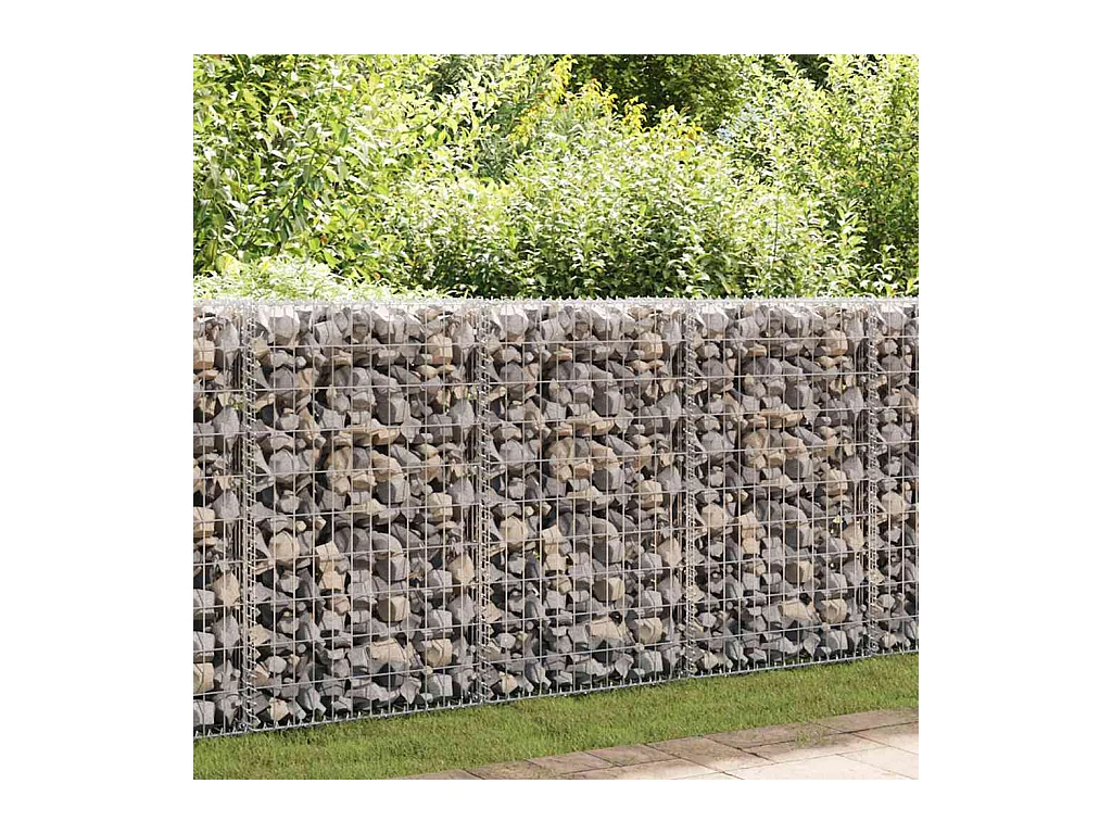 Mur en gabion-Panier de gabion avec couvercles Acier galvanisé 300x50x100 cm