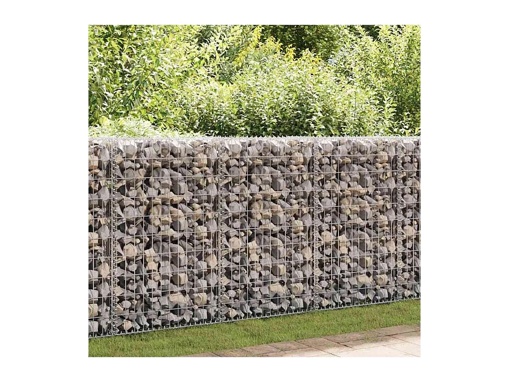 Mur à gabion-Panier de gabion avec couvercles Acier galvanisé 100x20x100 cm