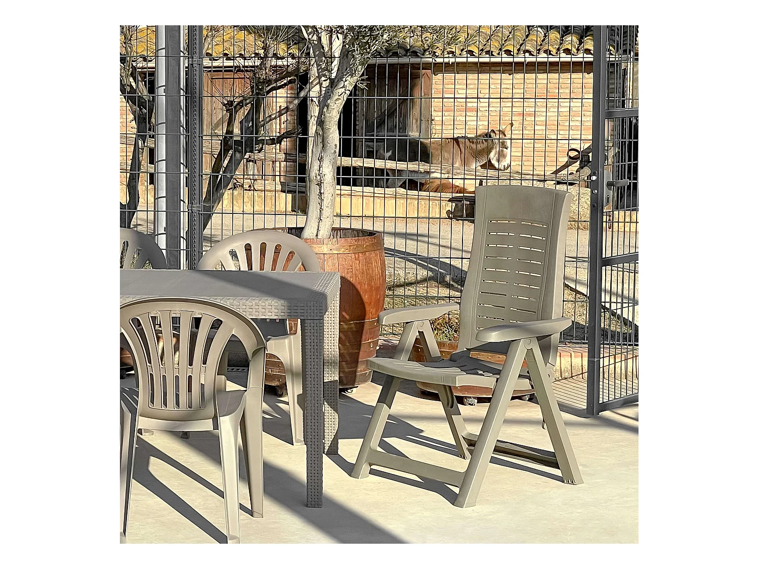 Pack 4 Sillones Silver Exterior 4 Posiciones Marrón Polipropileno 59x108x62 cm