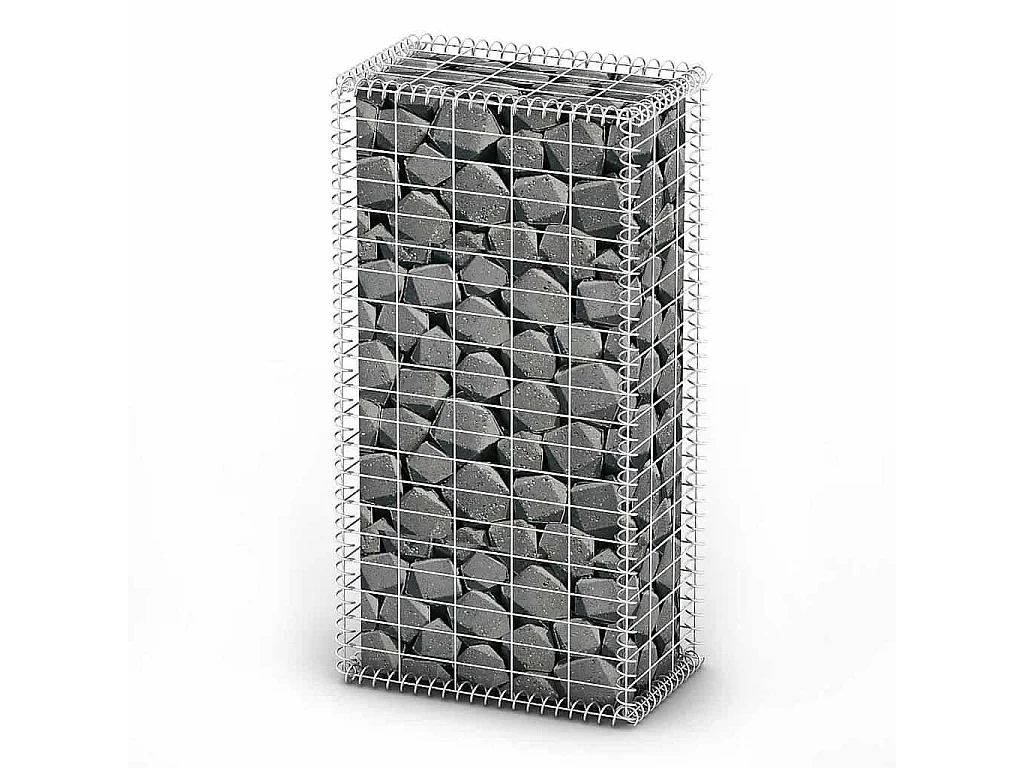 Panier de gabion-Mur en gabion avec couvercle Fil galvanisé 100x50x30 cm