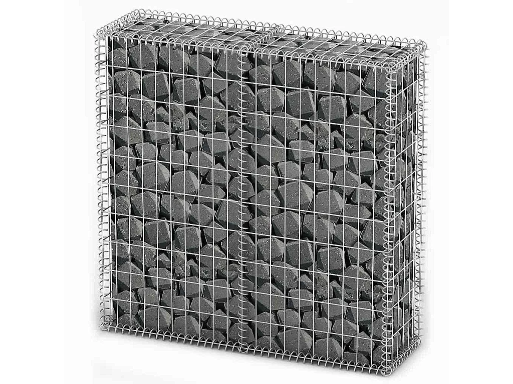 Panier de gabion-Mur en gabion avec couvercle Fil galvanisé 100x100x30 cm