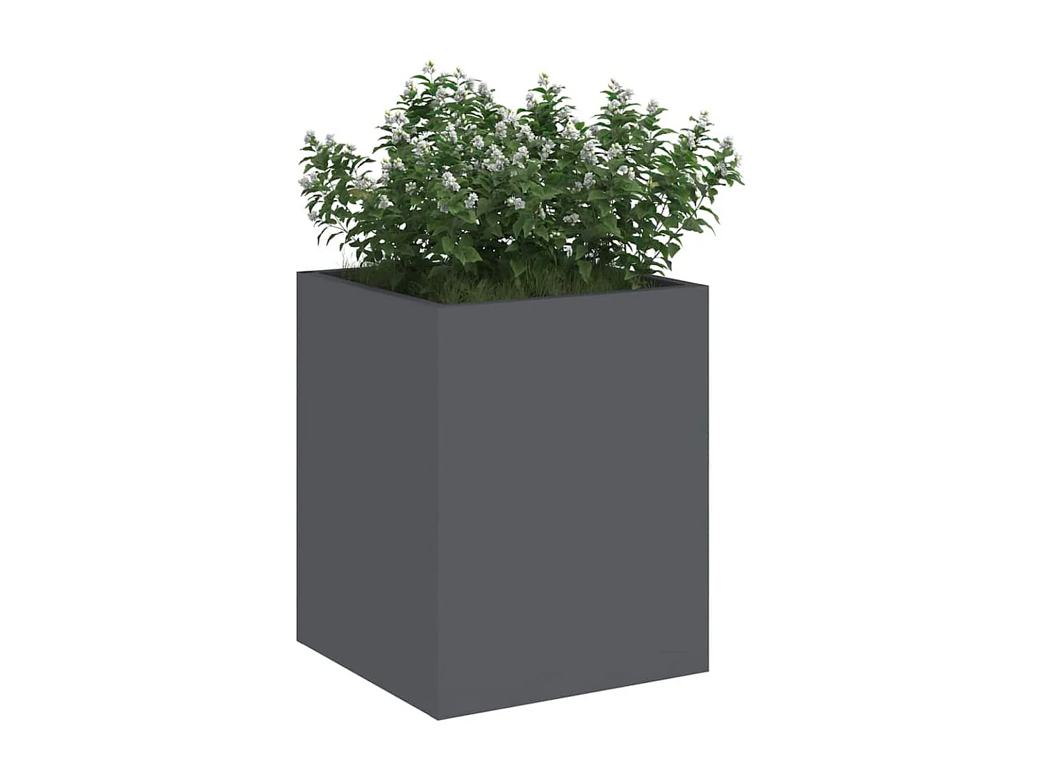 Cache-pot de jardin | Jardinière Anthracite Acier laminé à froid