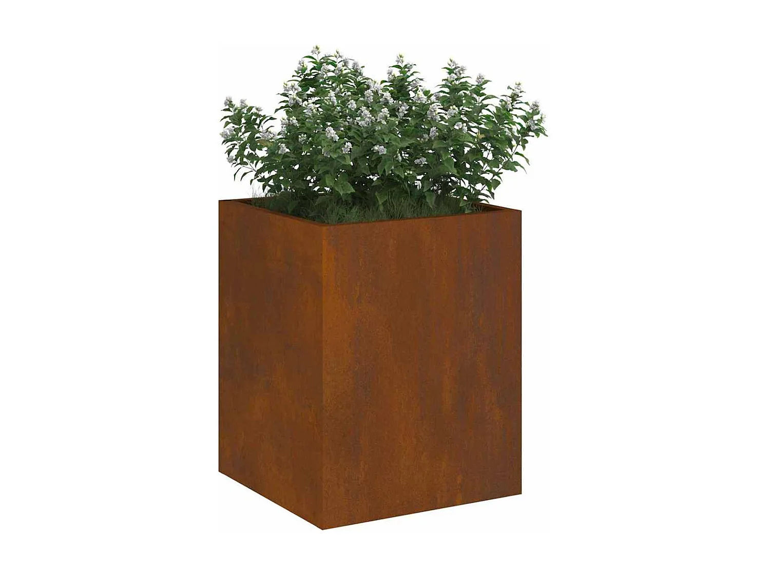 Cache-pot de jardin | Jardinière Marron 32 x 32 x 40 cm Acier vieilli