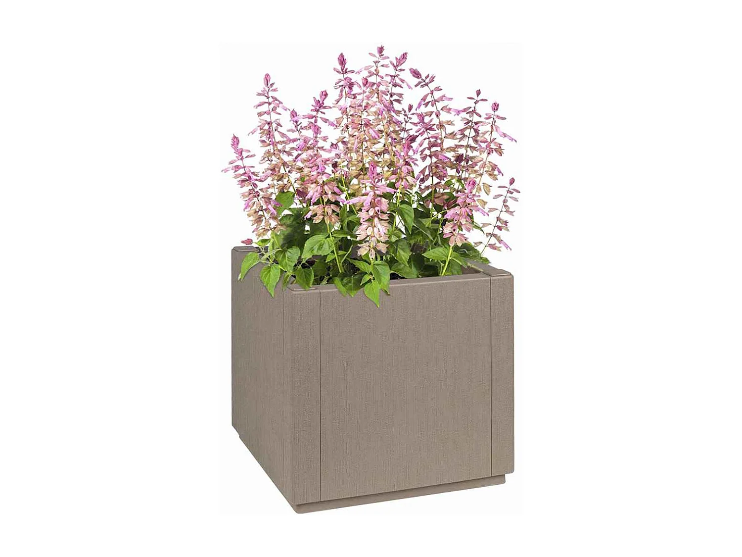 Maceta para Jardín | Jardinera | Macetero Gris 36 x 36 x 35 cm Polipropileno