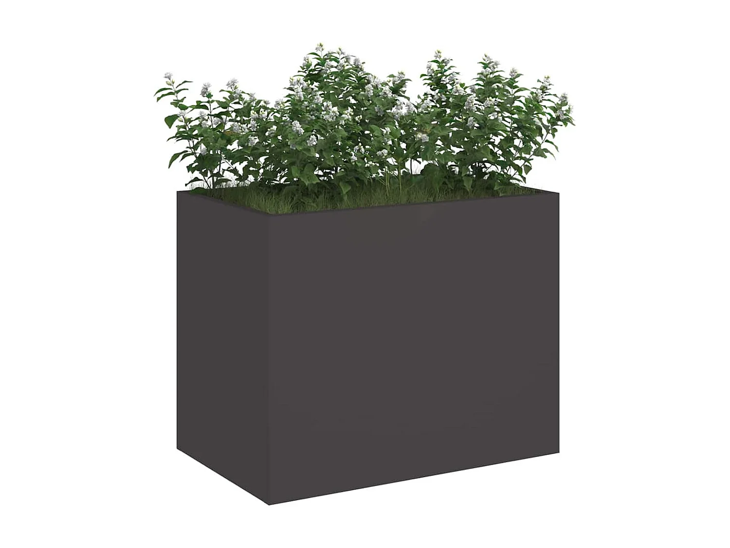 Cache-pot de jardin | Jardinière Noir 50 x 32 x 40 cm Acier laminé à froid