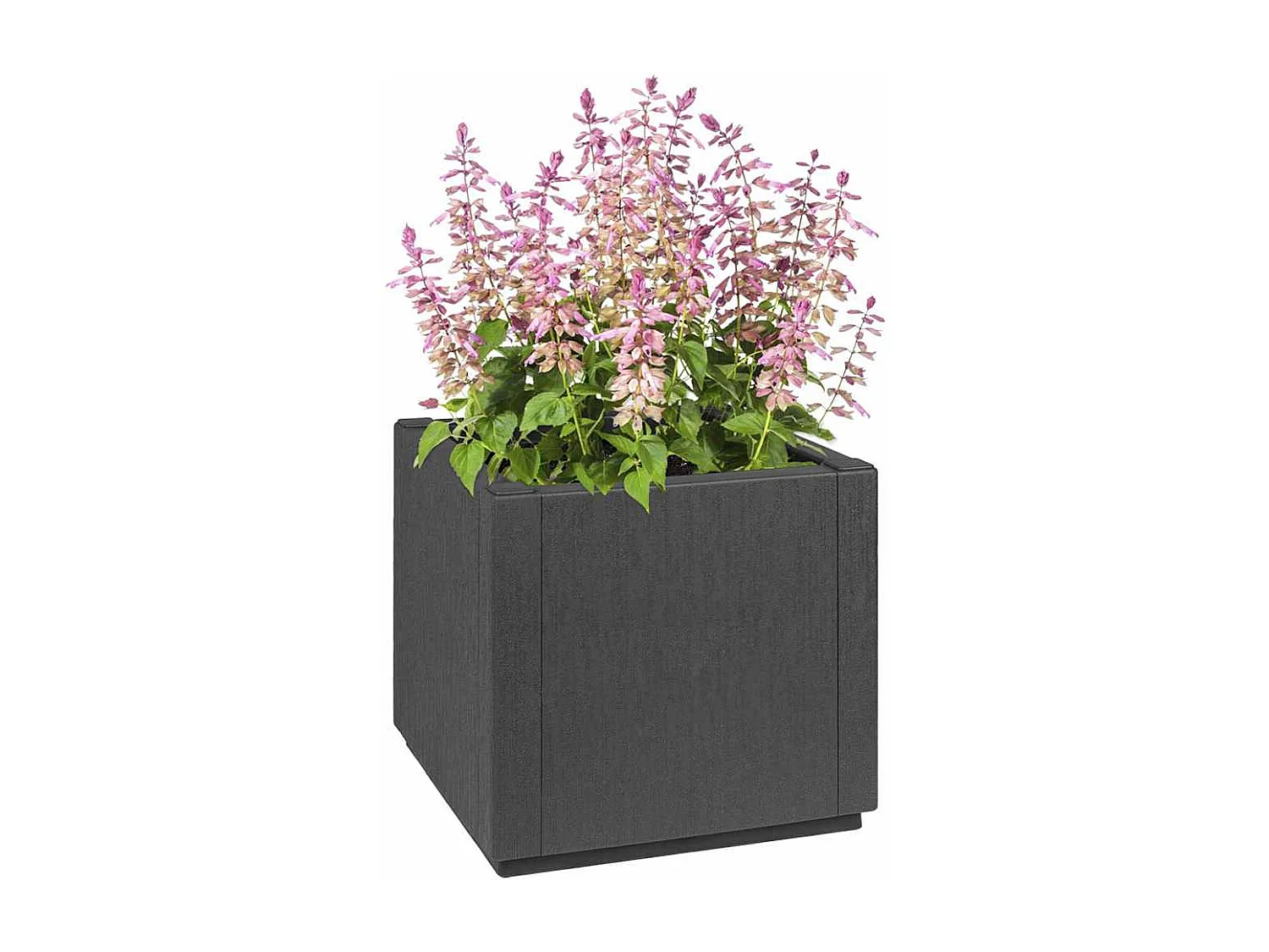 Maceta para Jardín | Jardinera | Macetero Antracita 36 x 36 x 35 cm Polipropileno