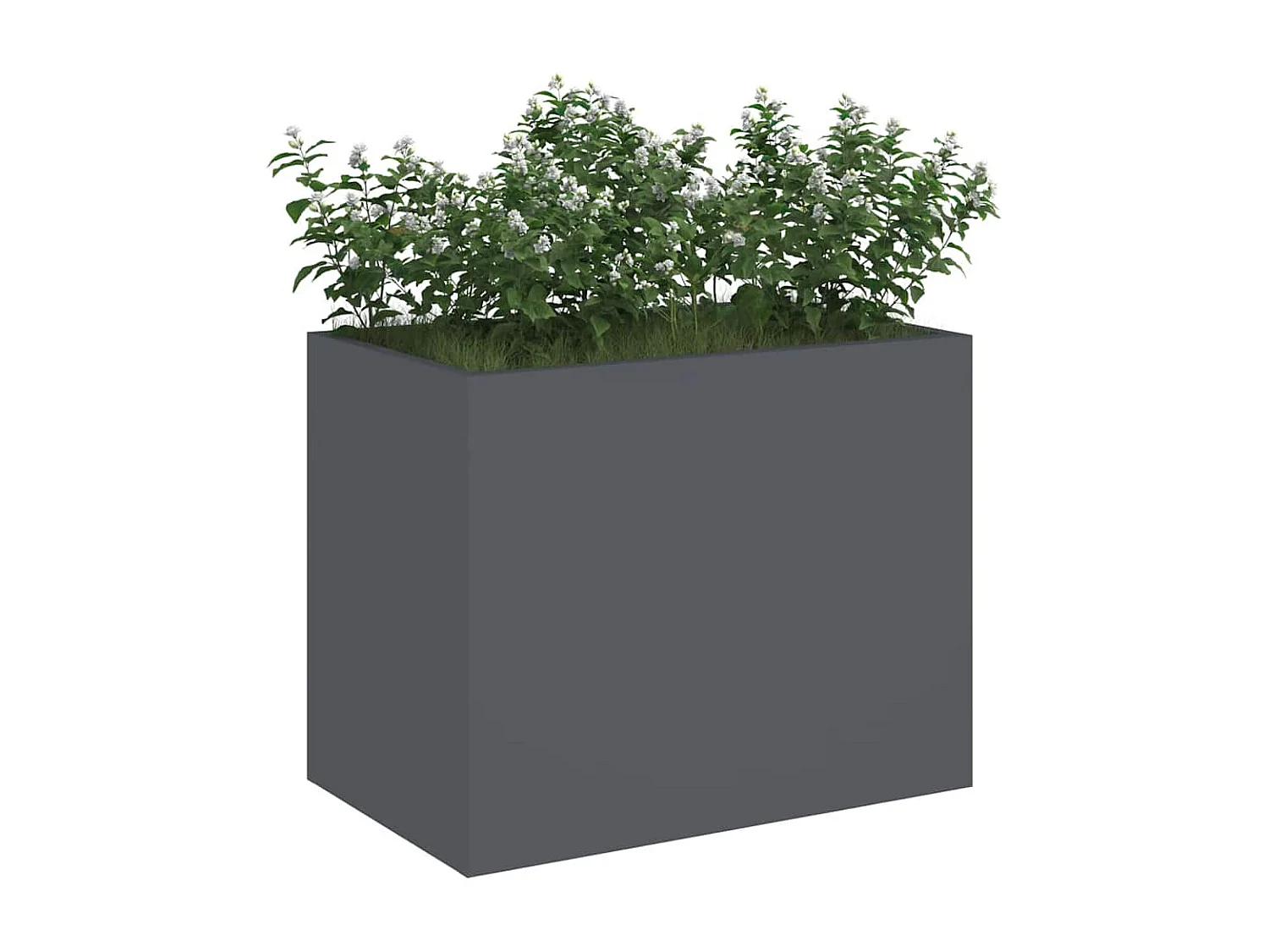 Cache-pot de jardin | Jardinière Anthracite Acier laminé à froid