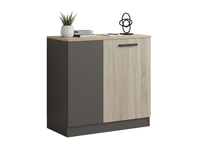 Armario auxiliar oficina Blacky 2 puertas y estantes roble sonoma gris 80x78x40 cm