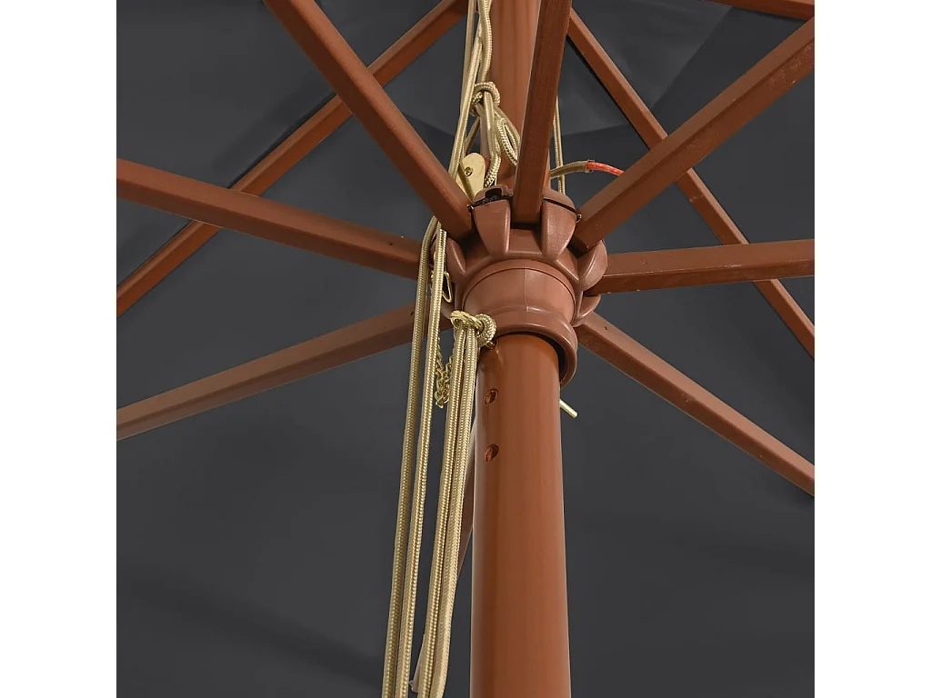 Parasol de jardin-Parasol d'extérieur avec mât en bois noir 400x273 cm