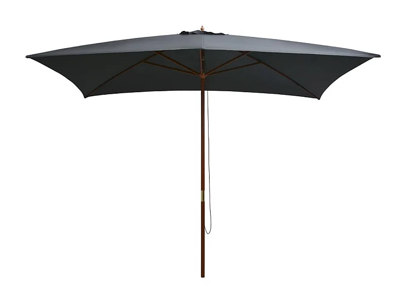 Parasol d'extérieur | Parasol de jardin avec mât en bois 200x300 cm anthracite