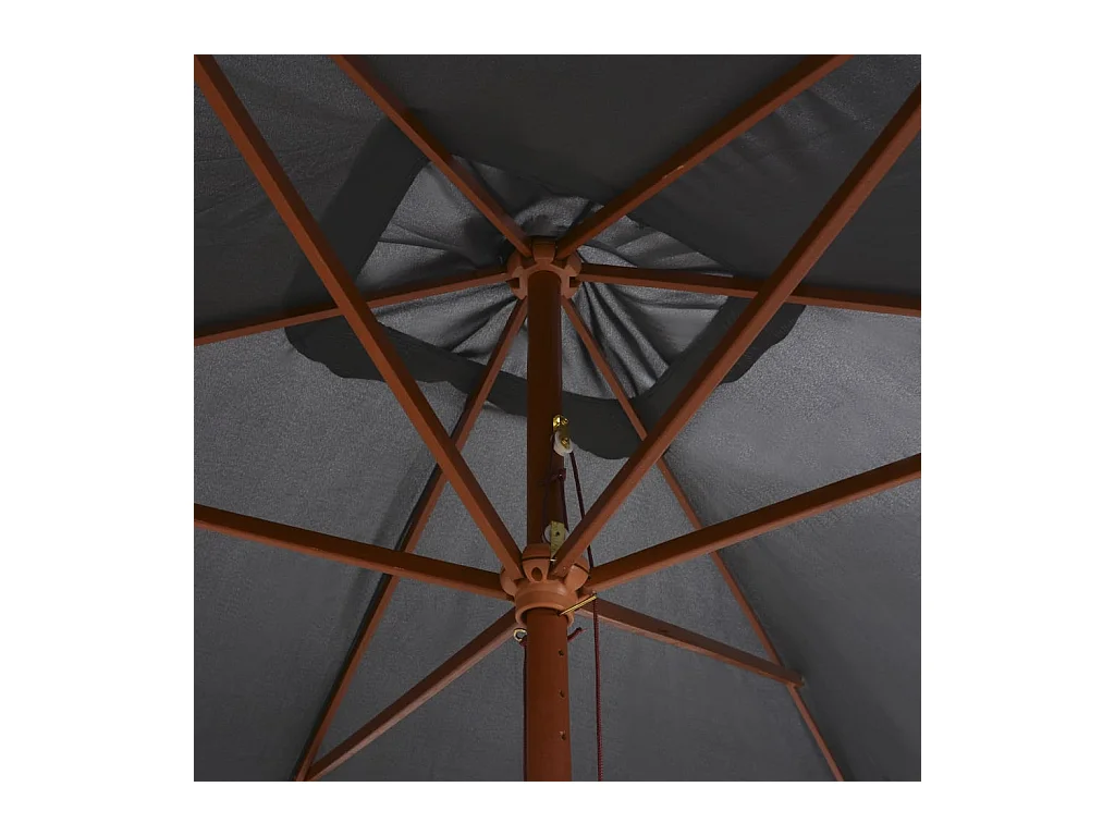 Parasol d'extérieur | Parasol de jardin avec mât en bois 200x300 cm anthracite