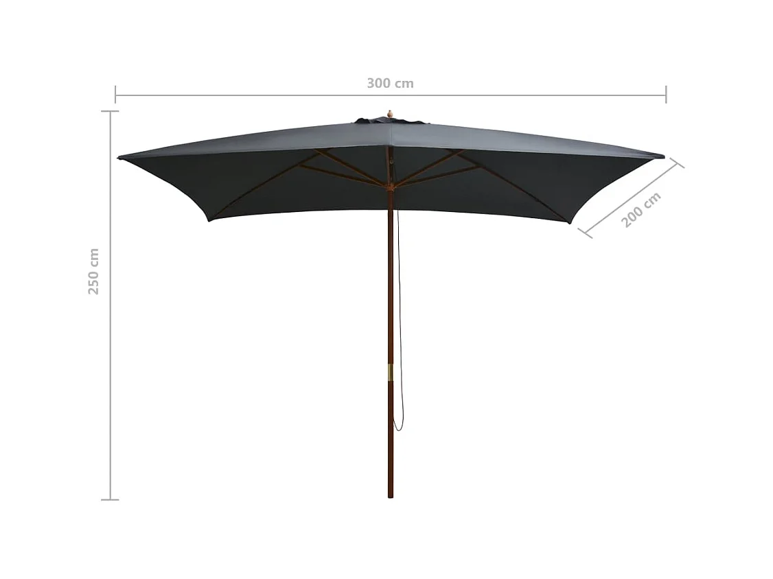 Parasol d'extérieur | Parasol de jardin avec mât en bois 200x300 cm anthracite