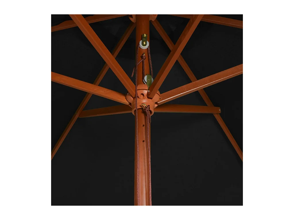 Parasol de jardin-Parasol d'extérieur avec mât en bois noir 200x300 cm