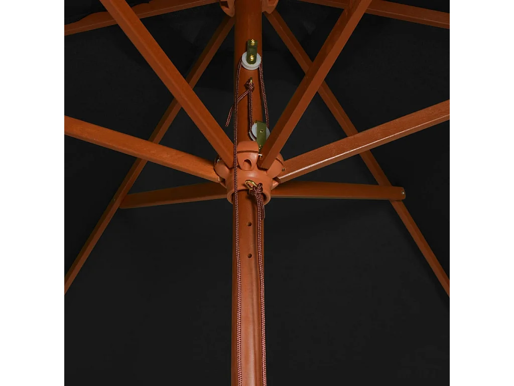 Parasol de jardin-Parasol d'extérieur avec mât en bois noir 200x300 cm