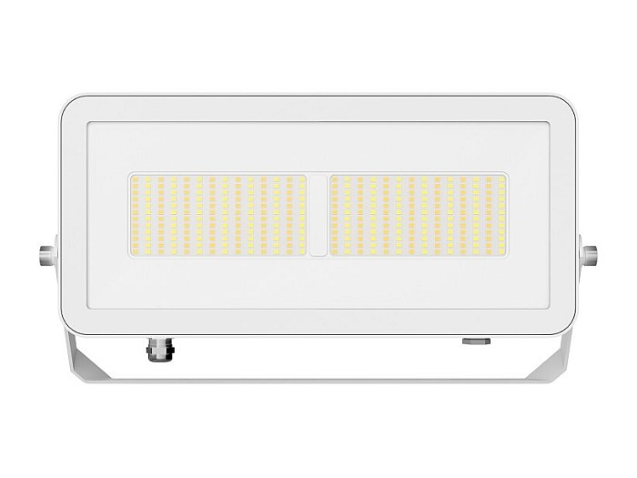 Proiettore A LED Per Esterni 30W Bianco Freddo Per Garage Illuminazione Di Sicurezza Spot Proiettore A Led Ip66 87408881