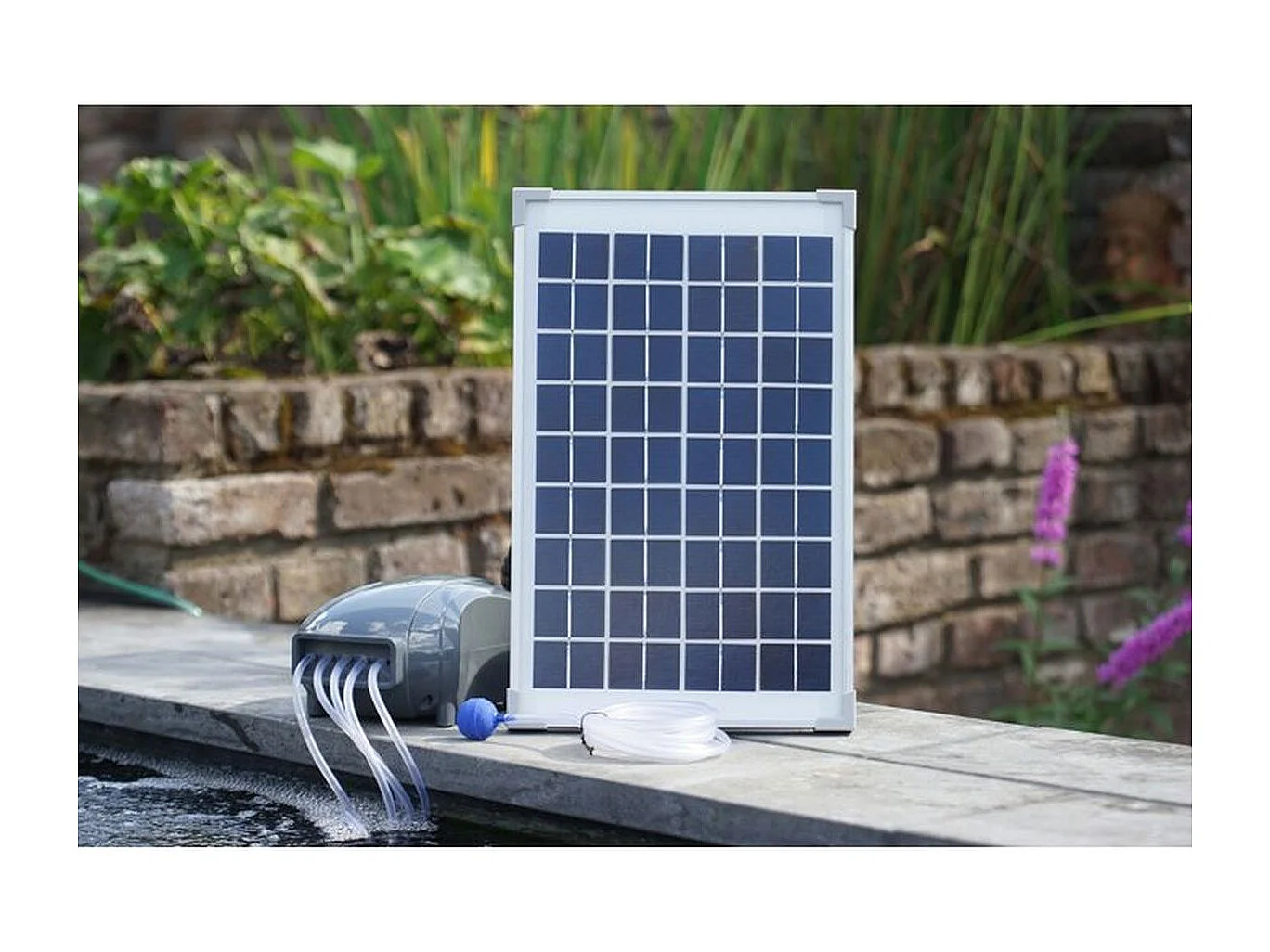 Solar-Teichbelüfter Air Solar 600 1351375