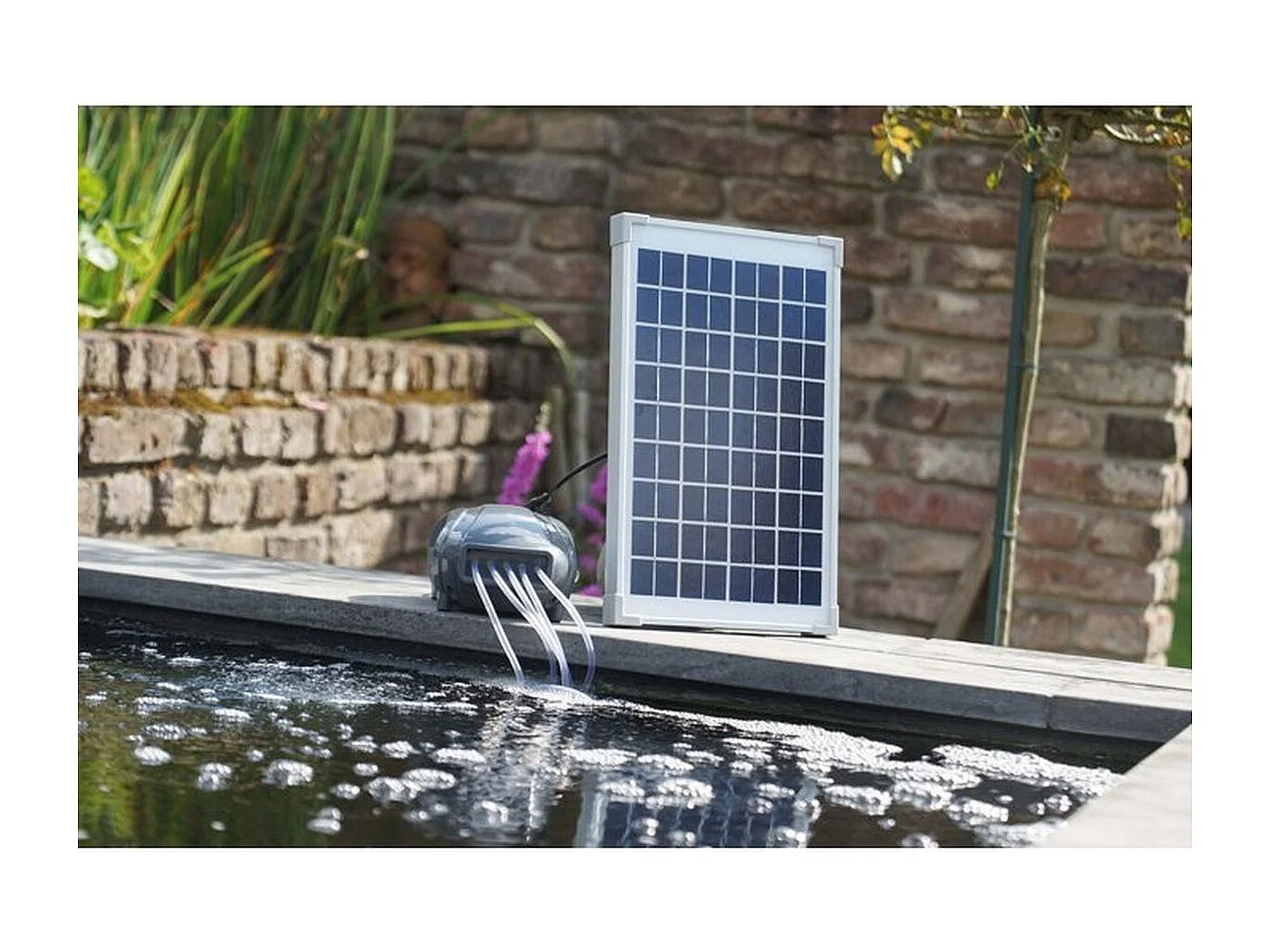 Solar-Teichbelüfter Air Solar 600 1351375