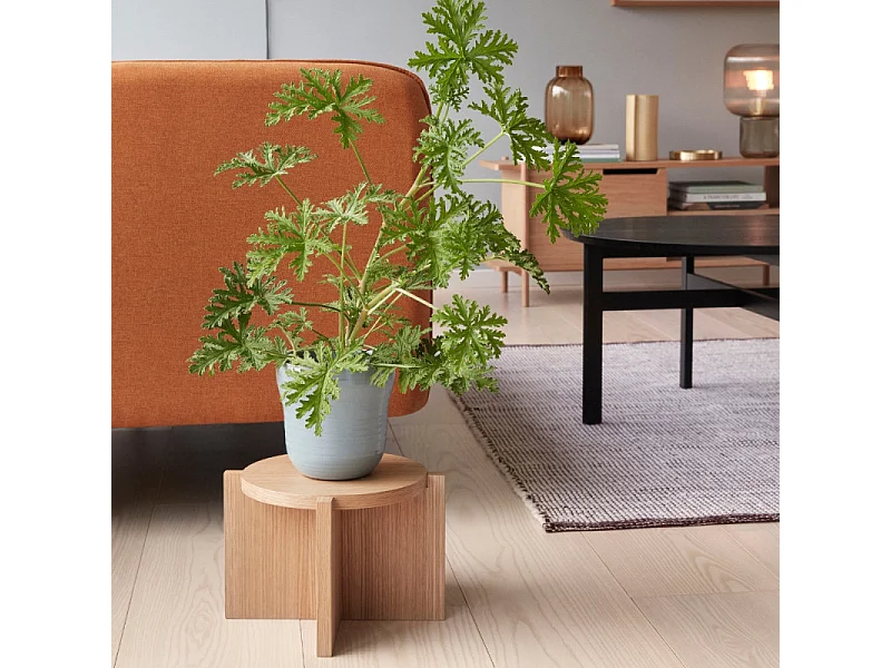 Table d'appoint design en bois NOTYA