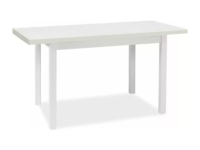 Table rectangulaire blanche mate 120 x 68 cm pour 6 convives VELMAZ