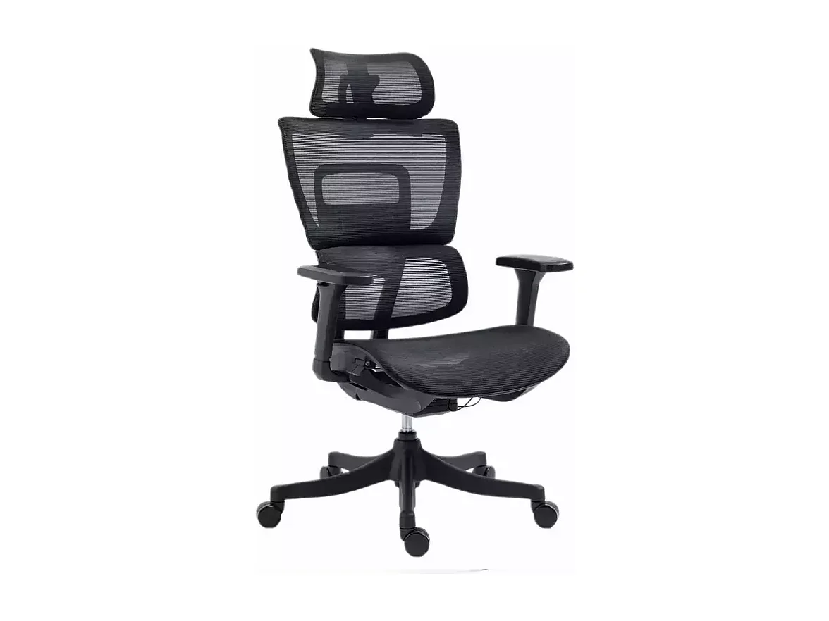 Chaise de bureau ergonomique réglable avec accoudoirs 4D et grande profondeur d'assise, coloris noir LORES3