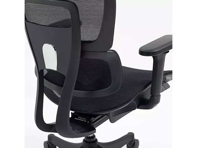 Chaise de bureau ergonomique réglable avec accoudoirs 4D et grande profondeur d'assise, coloris noir LORES3