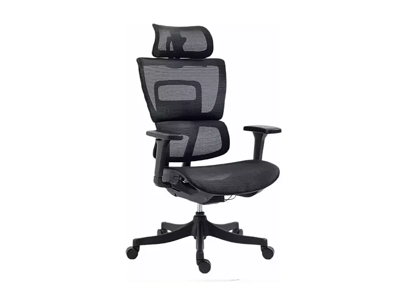 Chaise de bureau ergonomique réglable avec accoudoirs 4D et grande profondeur d'assise, coloris noir LORES3