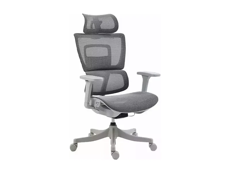 Chaise de bureau ergonomique réglable avec accoudoirs 4D et grande profondeur d'assise, coloris gris LORES3