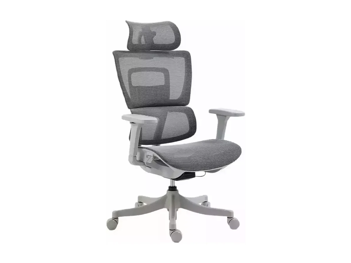 Chaise de bureau ergonomique réglable avec accoudoirs 4D et grande profondeur d'assise, coloris gris LORES3