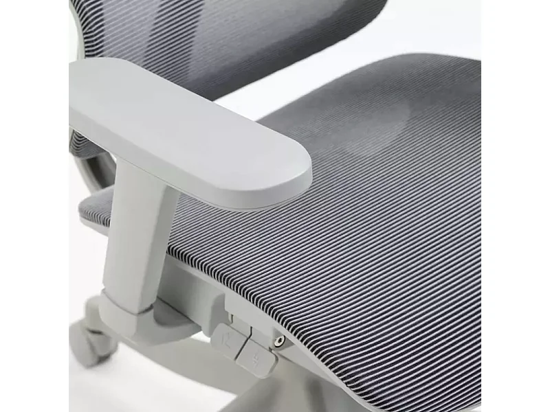 Chaise de bureau ergonomique réglable avec accoudoirs 4D et grande profondeur d'assise, coloris gris LORES3