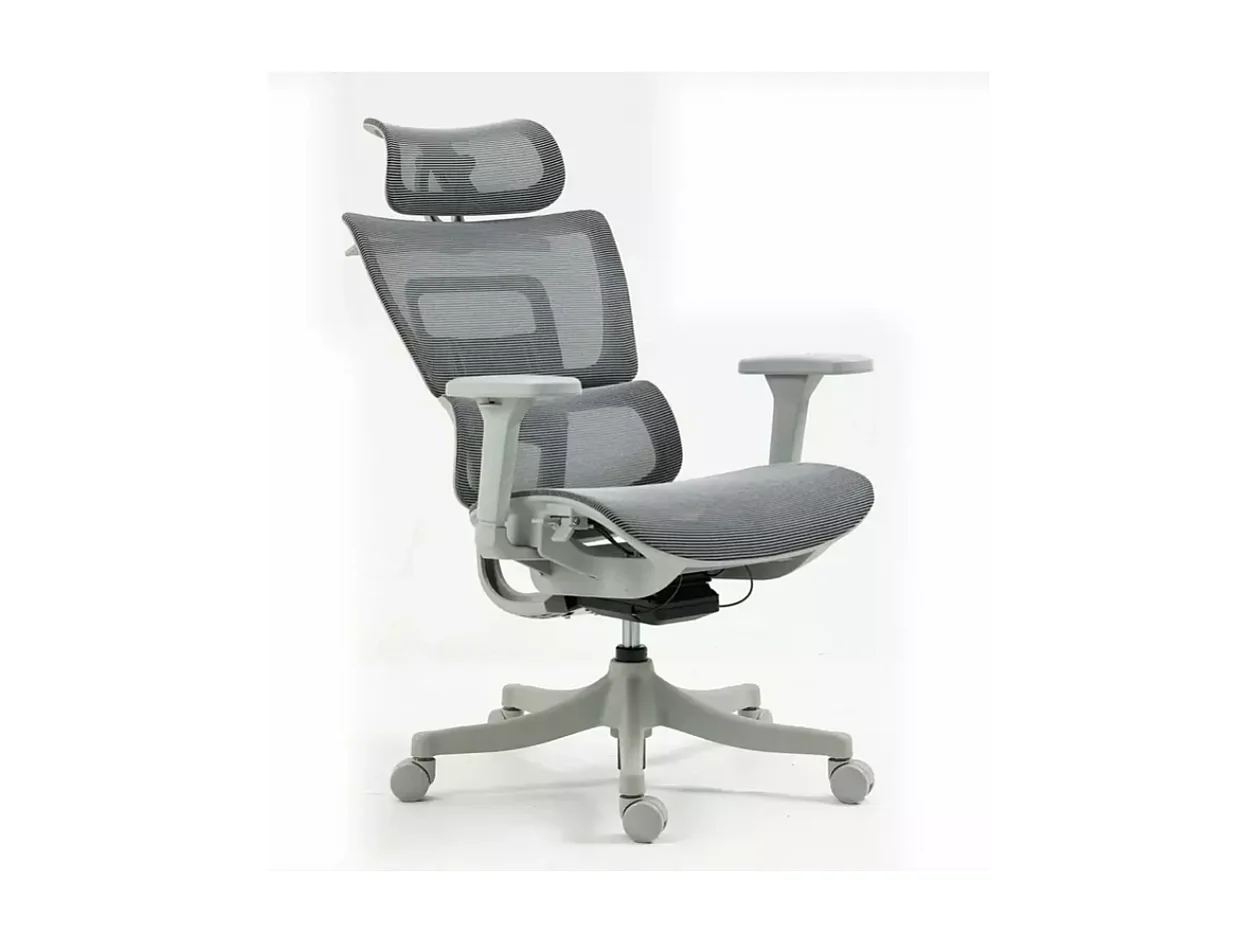 Chaise de bureau ergonomique réglable avec accoudoirs 4D et grande profondeur d'assise, coloris gris LORES3
