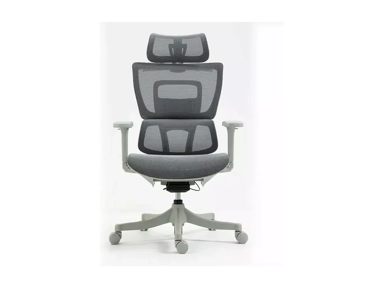 Chaise de bureau ergonomique réglable avec accoudoirs 4D et grande profondeur d'assise, coloris gris LORES3