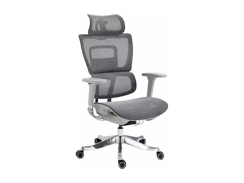 Chaise de bureau haut de gamme ergonomique réglable avec accoudoirs 4D et grande profondeur d'assise, coloris gris LORES2