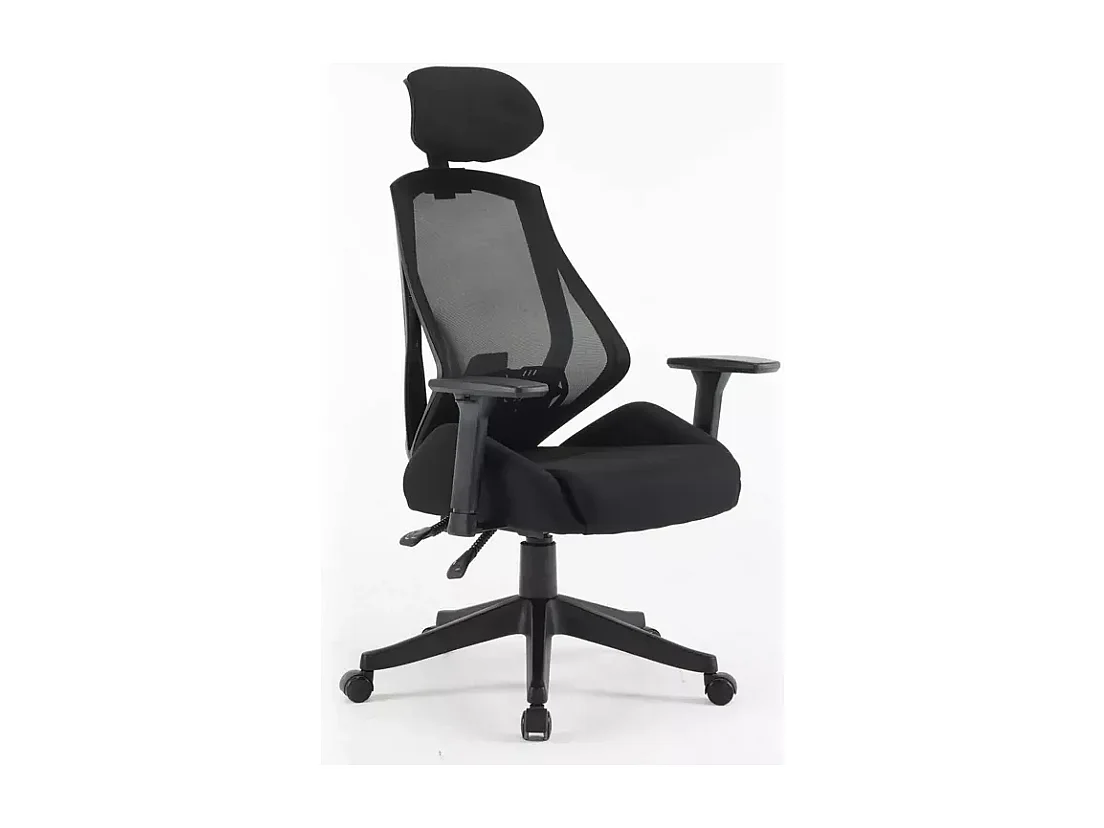 Chaise de bureau ergonomique réglable avec accoudoirs, appui-tête et support lombaire, coloris noir LORES