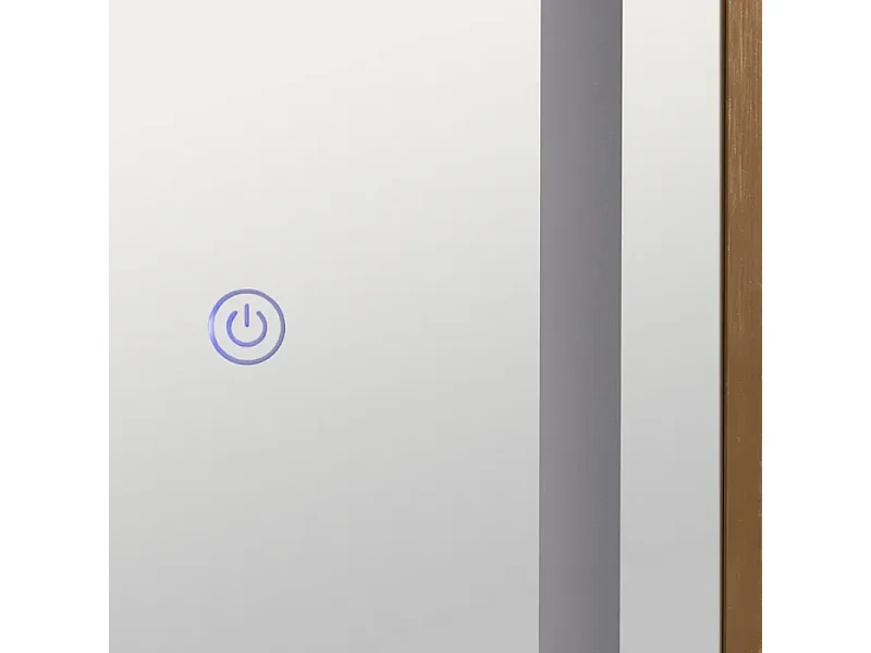 Miroir lumineux FLORELIS plein pied LED cadre doré 160 cm capteur