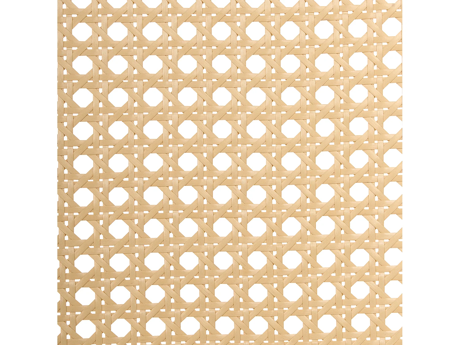 Lot de 2 chaises de salle à manger TAMARAC Bois Marron clair