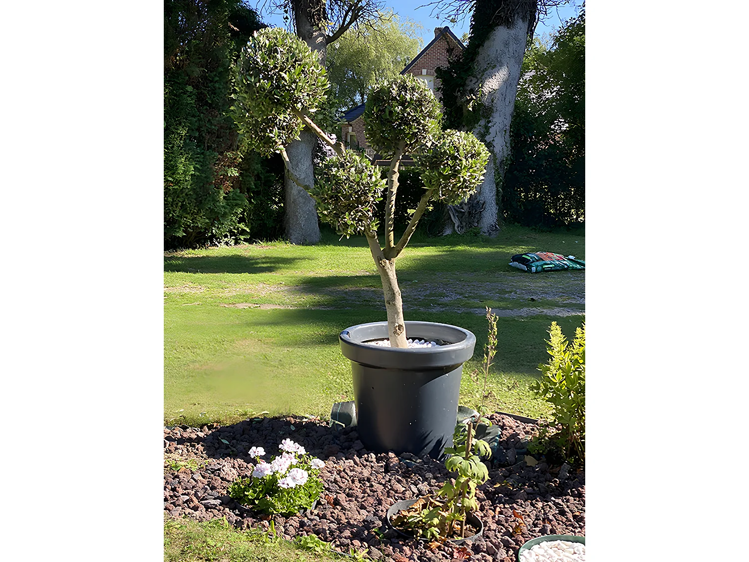 Pot De Fleurs Rond Xxl Delight 75l