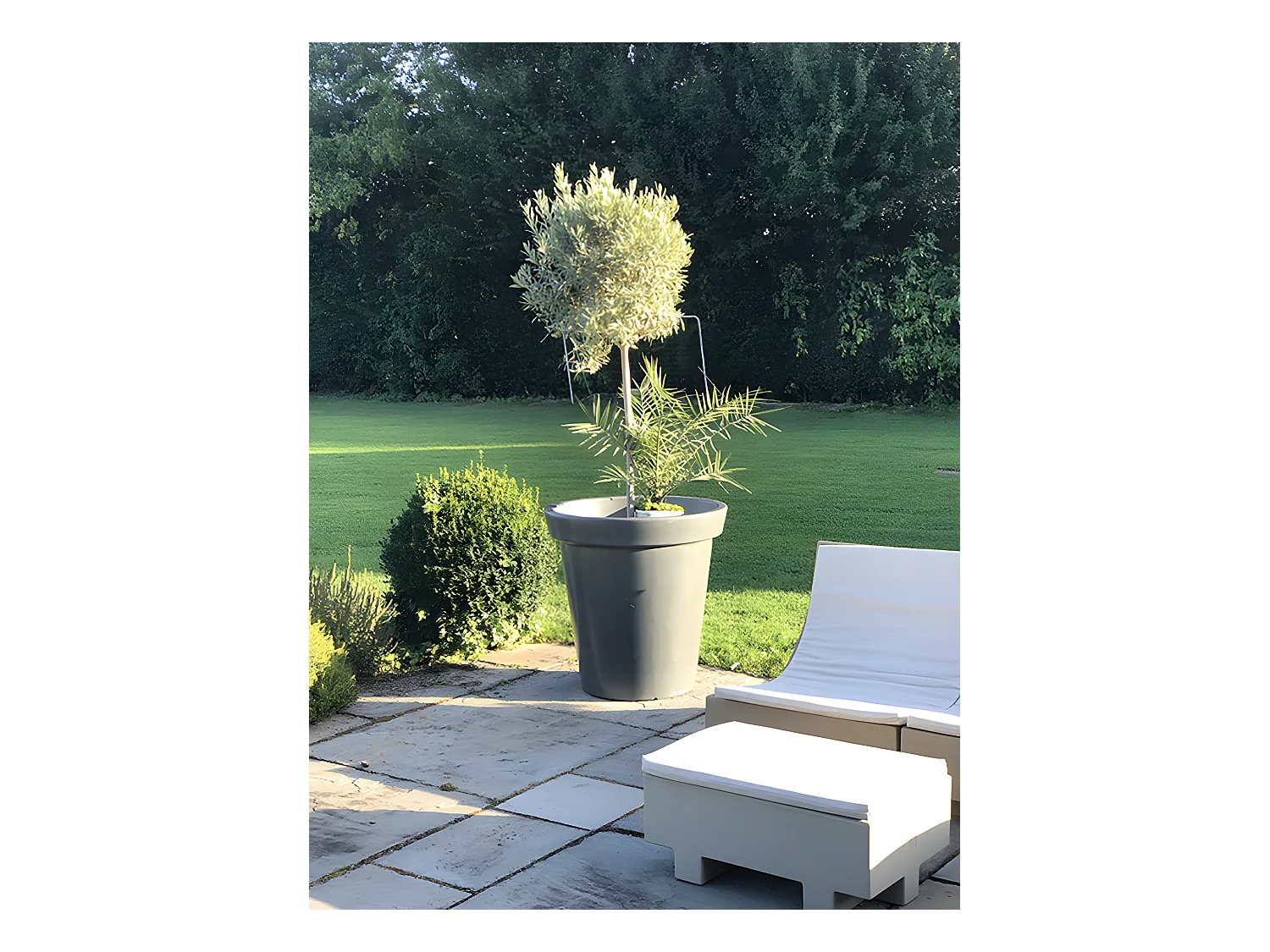 Pot De Fleurs Rond Xxl Delight 200l