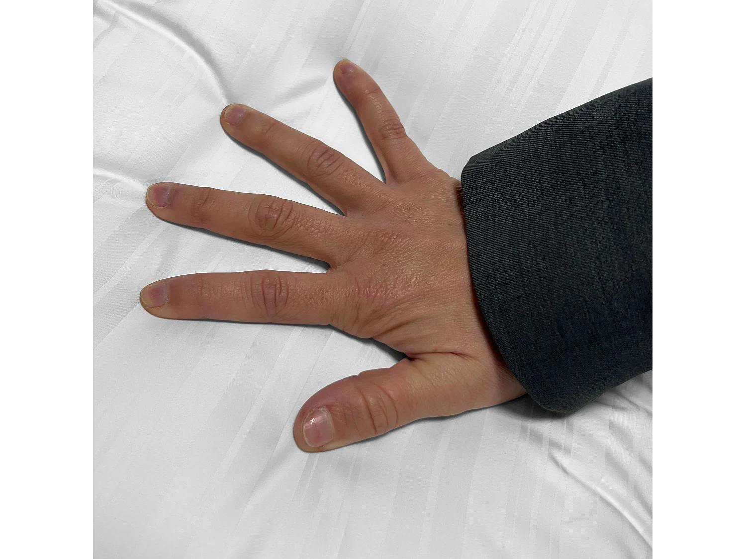 Oreiller Elite Housse en fibre Ergotex 90 cm