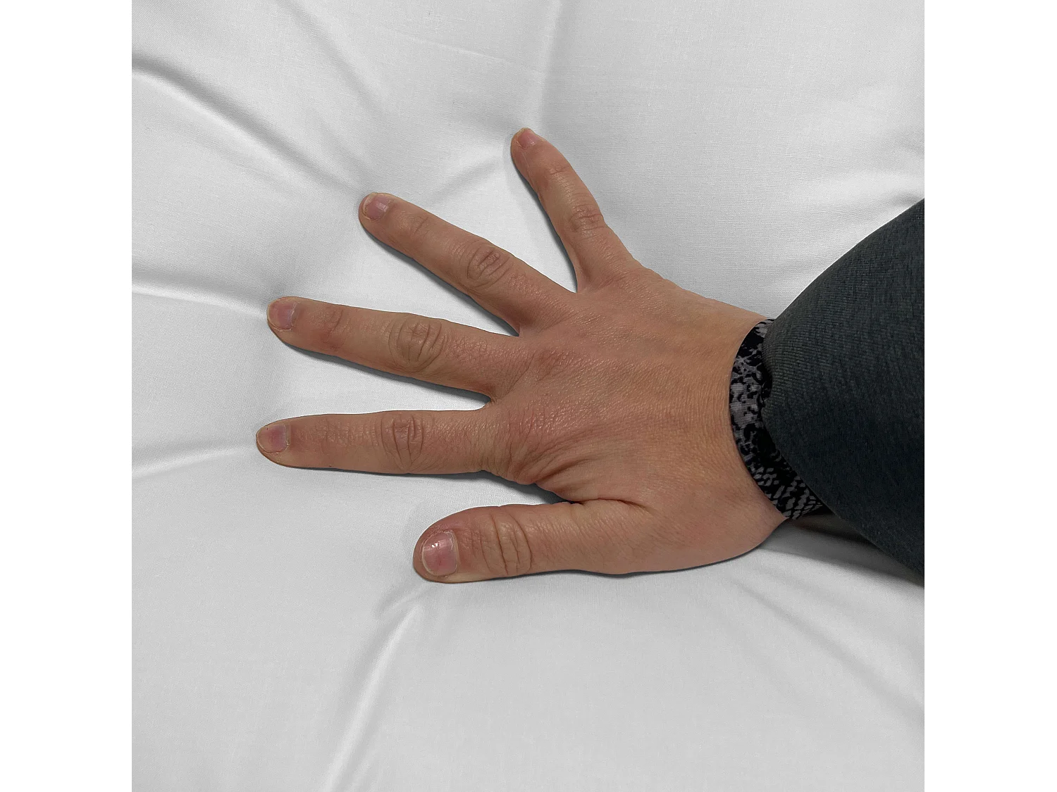 Petit oreiller Moshy, 90 cm, blanc, avec housse double, 100% coton et polyester