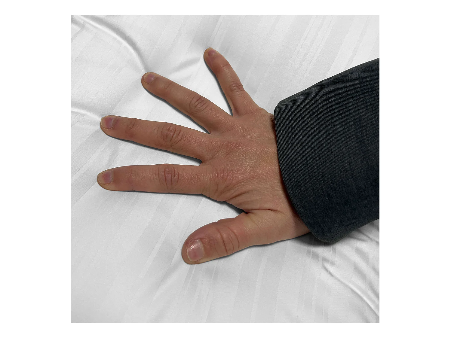 Oreiller Elite avec housse en fibre Ergotex 105 cm