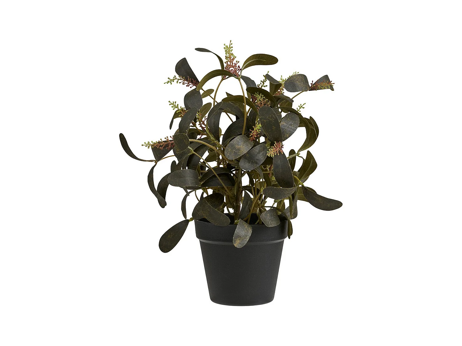 Plante Artificielle Willow, Vert, 15x15x35 cm, Seven Design