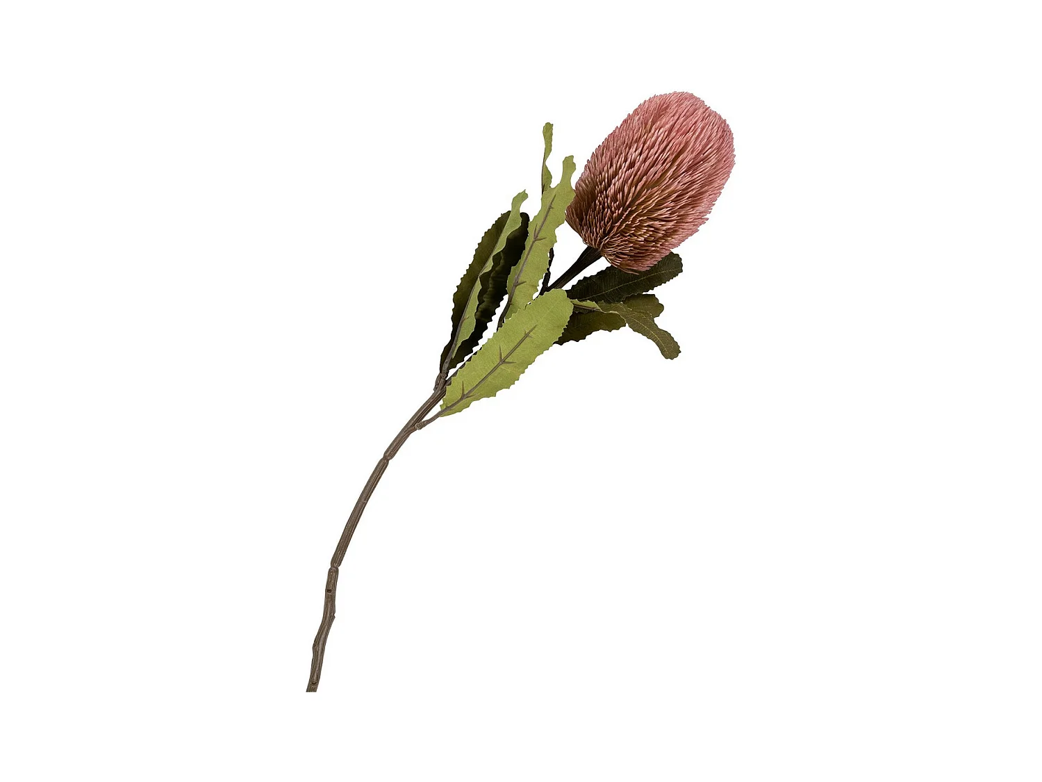 Plante Artificielle Emily, Multicouleur, 10x10x74 cm, Seven Design