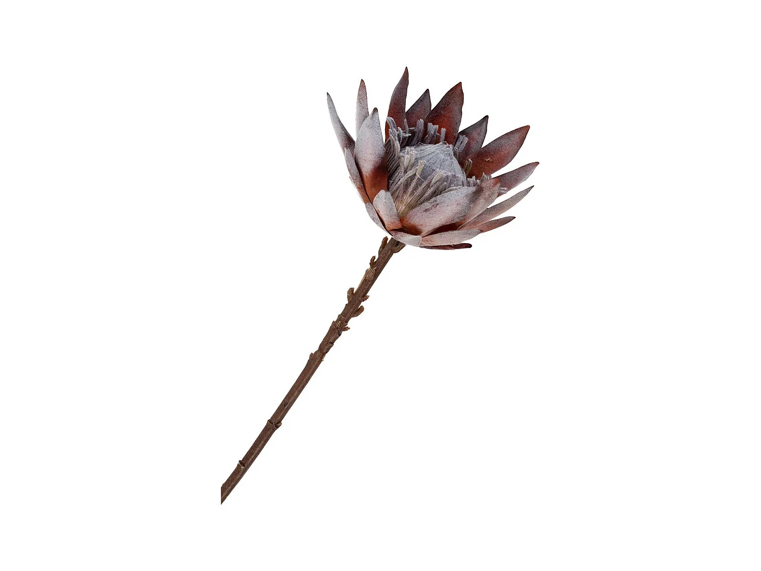 Plante Artificielle Emily, Multicouleur, 10x10x74 cm, Seven Design